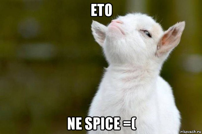 eto ne spice =(, Мем  Гордый козленок