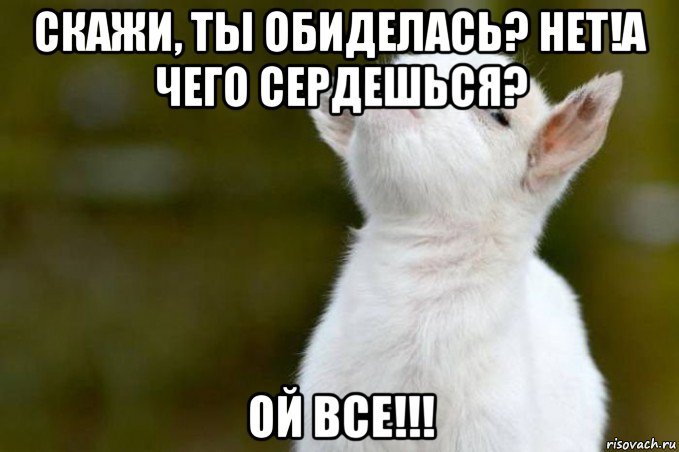 скажи, ты обиделась? нет!а чего сердешься? ой все!!!, Мем  Гордый козленок