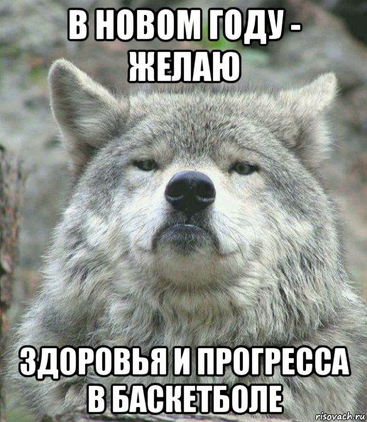 в новом году - желаю здоровья и прогресса в баскетболе, Мем    Гордый волк