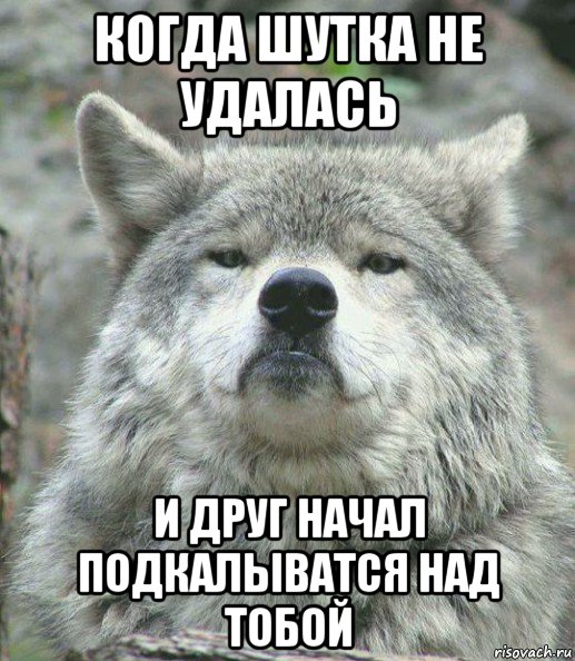 когда шутка не удалась и друг начал подкалыватся над тобой, Мем    Гордый волк