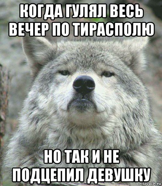 когда гулял весь вечер по тирасполю но так и не подцепил девушку, Мем    Гордый волк