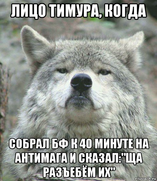 лицо тимура, когда собрал бф к 40 минуте на антимага и сказал:"ща разъебём их", Мем    Гордый волк