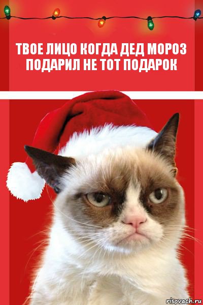 твое лицо когда дед мороз подарил не тот подарок, Комикс  Grumpy cat new year