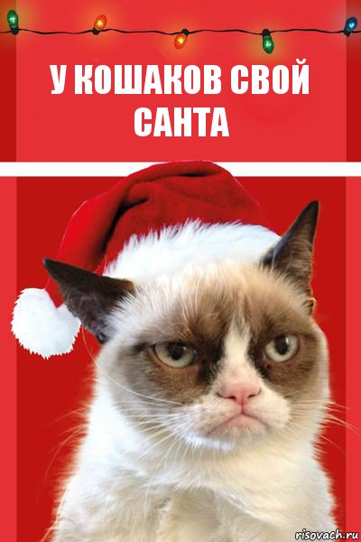 у кошаков свой санта, Комикс  Grumpy cat new year