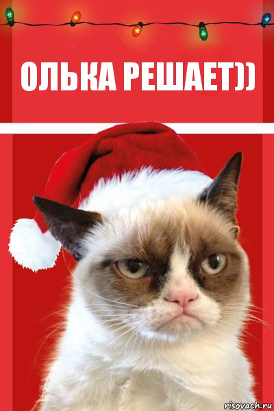 Олька решает)), Комикс  Grumpy cat new year