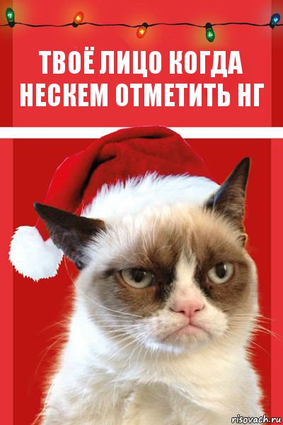 Твоё лицо когда нескем отметить НГ, Комикс  Grumpy cat new year