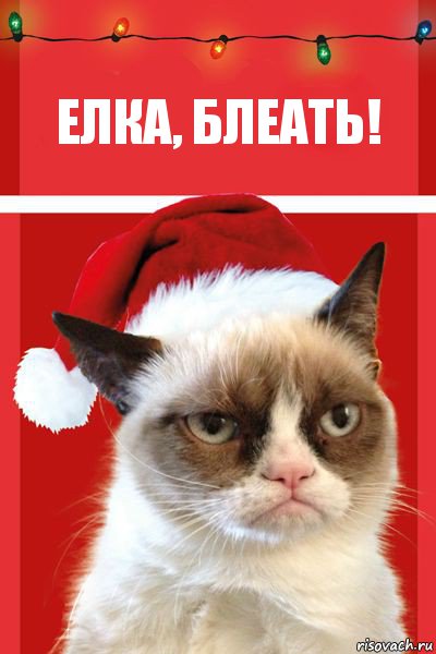 елка, блеать!, Комикс  Grumpy cat new year