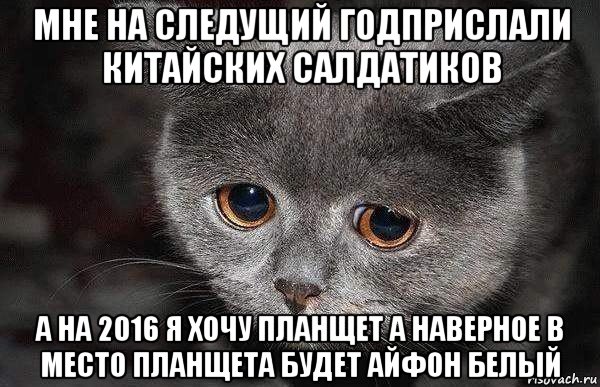 мне на следущий годприслали китайских салдатиков а на 2016 я хочу планщет а наверное в место планщета будет айфон белый, Мем  Грустный кот