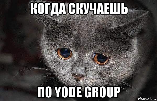 когда скучаешь по yode group, Мем  Грустный кот