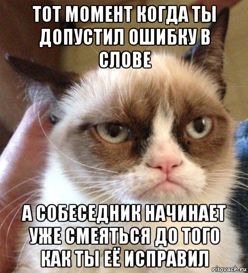 тот момент когда ты допустил ошибку в слове а собеседник начинает уже смеяться до того как ты её исправил, Мем Грустный (сварливый) кот