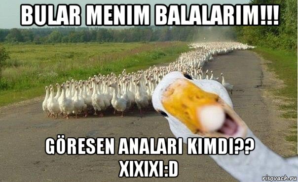 bular menim balalarim!!! göresen analari kimdi?? xixixi:d, Мем гуси