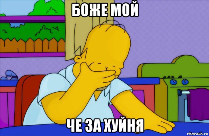 боже мой че за хуйня, Мем Homer simpson facepalm