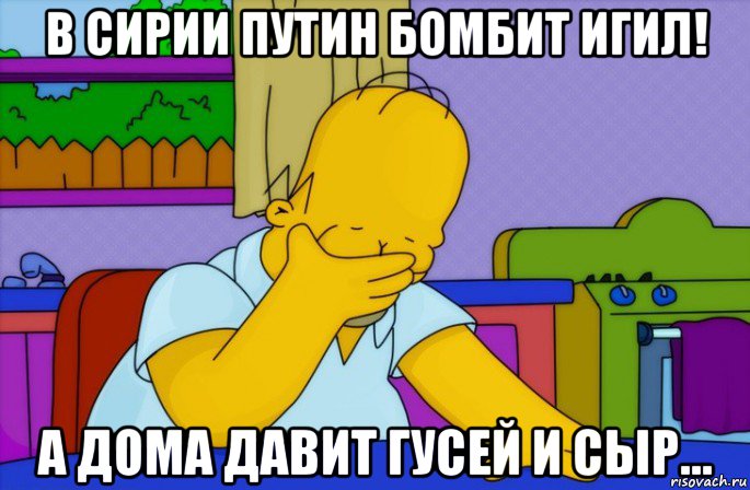 в сирии путин бомбит игил! а дома давит гусей и сыр..., Мем Homer simpson facepalm