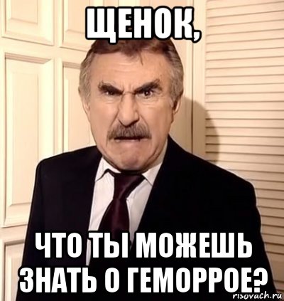 щенок, что ты можешь знать о геморрое?, Мем хрен тебе а не история