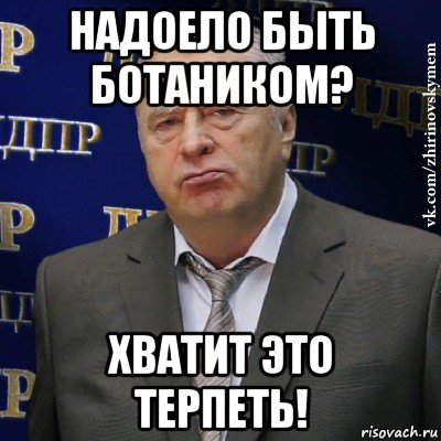 надоело быть ботаником? хватит это терпеть!, Мем Хватит это терпеть (Жириновский)