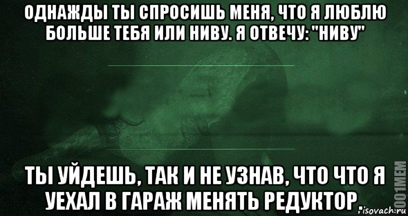 однажды ты спросишь меня, что я люблю больше тебя или ниву. я отвечу: "ниву" ты уйдешь, так и не узнав, что что я уехал в гараж менять редуктор., Мем Игра слов 2