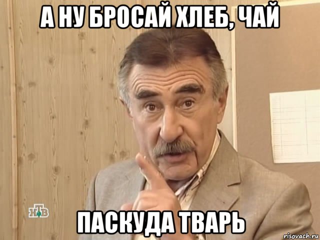 а ну бросай хлеб, чай паскуда тварь, Мем Каневский (Но это уже совсем другая история)