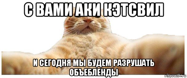 с вами аки кэтсвил и сегодня мы будем разрушать объебленды, Мем   Кэтсвилл