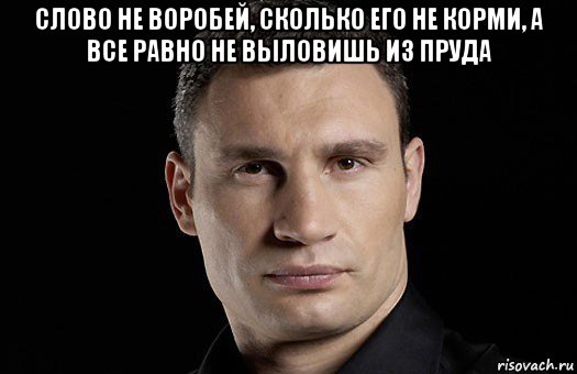 слово не воробей, сколько его не корми, а все равно не выловишь из пруда , Мем Кличко