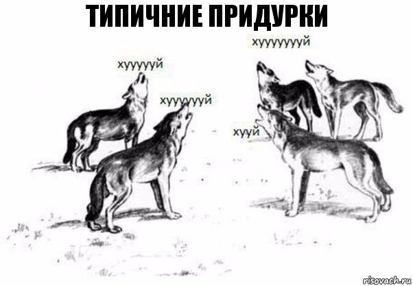 Типичние Придурки