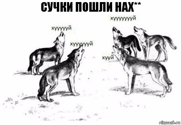 сучки пошли нах**, Комикс Когда хочешь