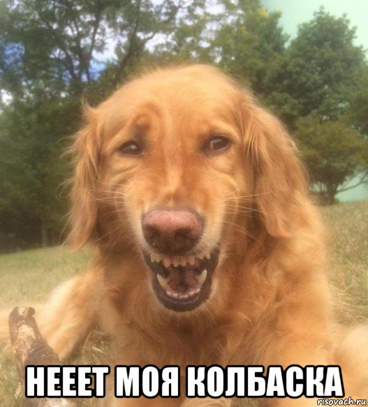  нееет моя колбаска