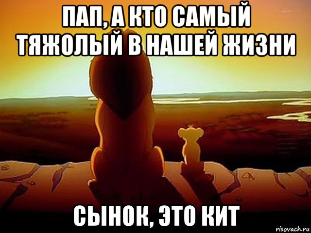 пап, а кто самый тяжолый в нашей жизни сынок, это кит, Мем  король лев