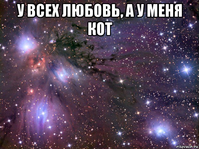 у всех любовь, а у меня кот , Мем Космос