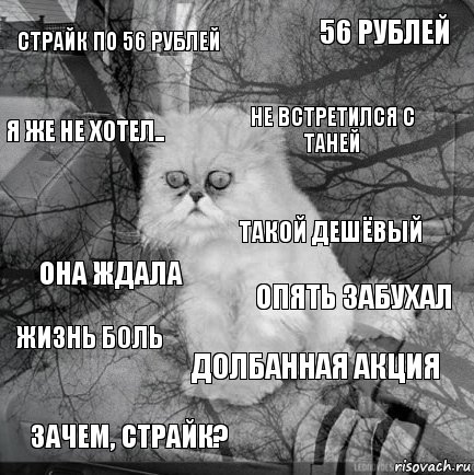 Страйк по 56 рублей Опять забухал Не встретился с таней Зачем, страйк? Она ждала 56 рублей Долбанная акция Я же не хотел.. Жизнь боль Такой дешёвый, Комикс  кот безысходность