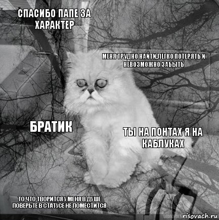 спасибо папе за характер ты на понтах я на каблуках меня трудно найти,легко потерять и невозможно забыть то что творится у меня в душе поверьте в статусе не поместится братик     , Комикс  кот безысходность