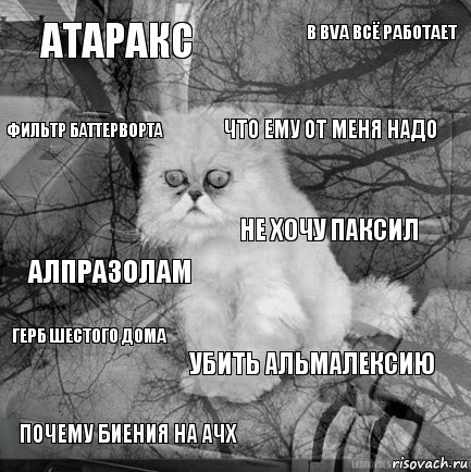 атаракс  что ему от меня надо почему биения на АЧХ алпразолам В bva всё работает убить альмалексию Фильтр Баттерворта Герб Шестого Дома не хочу паксил, Комикс  кот безысходность