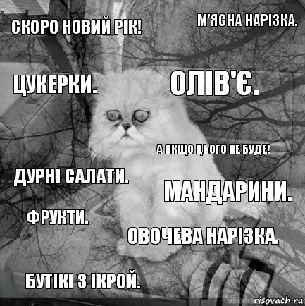 Скоро Новий рік! Мандарини. Олів'є. Бутікі з ікрой. Дурні салати. М'ясна нарізка. Овочева нарізка. Цукерки. Фрукти. А ЯКЩО ЦЬОГО НЕ БУДЕ!, Комикс  кот безысходность