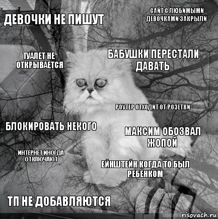 Девочки не пишут Максим обозвал жопой бабушки перестали давать тп не добавляются блокировать некого сайт с любимыми девочками закрыли ейнштейн когда то был ребёнком туалет не открывается интернет иногда отключают роутер отходит от розетки, Комикс  кот безысходность