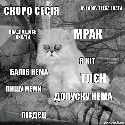 скоро сесія тлєн мрак піздєц балів нема курсову треба здати допуску нема впадло шось писати пишу меми я кіт, Комикс  кот безысходность