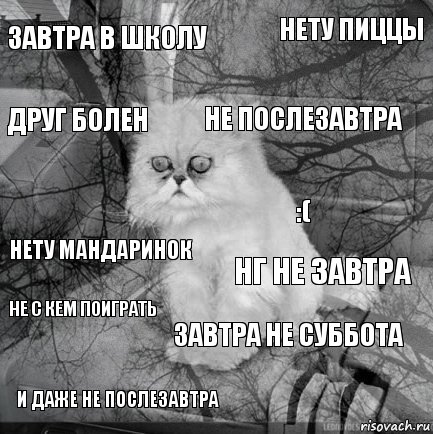 завтра в школу НГ не завтра не послезавтра и даже не послезавтра нету мандаринок нету пиццы завтра не суббота друг болен не с кем поиграть :(, Комикс  кот безысходность