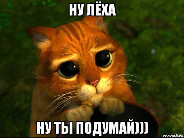 ну лёха ну ты подумай))), Мем кот из шрека