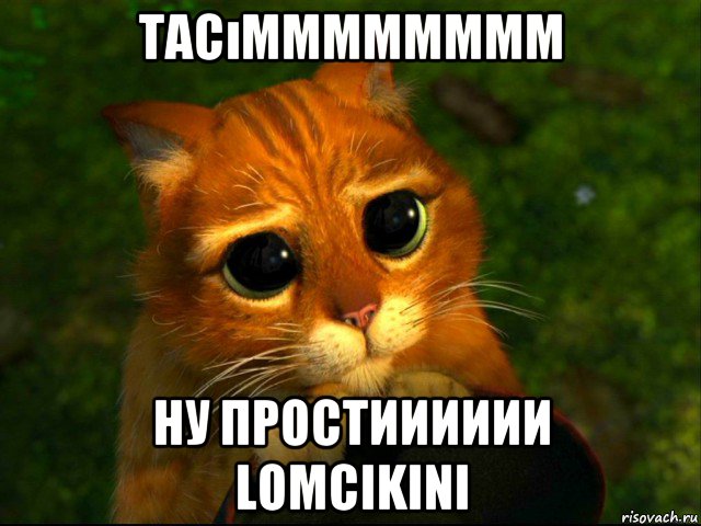 tacımmmmmmmm ну простииииии lomcikini, Мем кот из шрека