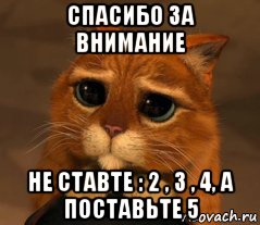 спасибо за внимание не ставте : 2 , 3 , 4, а поставьте 5, Мем Кот из Шрека