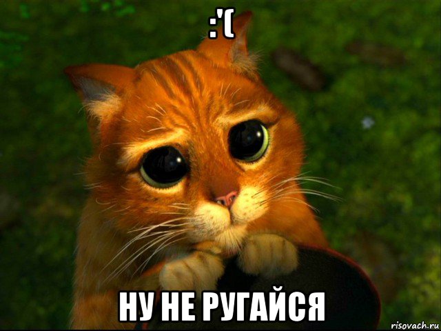 :'( ну не ругайся, Мем кот из шрека