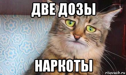 две дозы наркоты