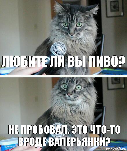 Любите ли вы пиво? Не пробовал. Это что-то вроде валерьянки?, Комикс  кот с микрофоном