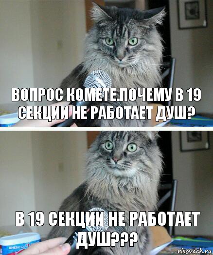 Вопрос комете.Почему в 19 секции не работает душ? В 19 секции не работает душ???, Комикс  кот с микрофоном