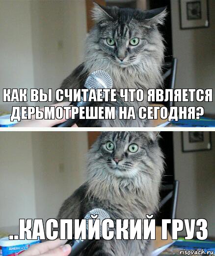 как вы считаете что является дерьмотрешем на сегодня? ..каспийский груз, Комикс  кот с микрофоном