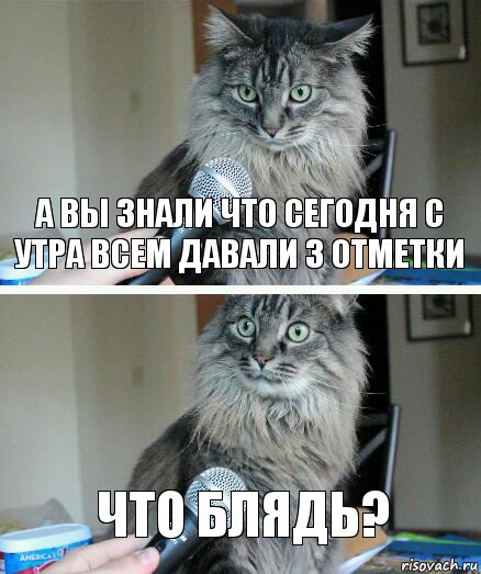 А вы знали что сегодня с утра всем давали 3 отметки Что БЛЯДЬ?, Комикс  кот с микрофоном