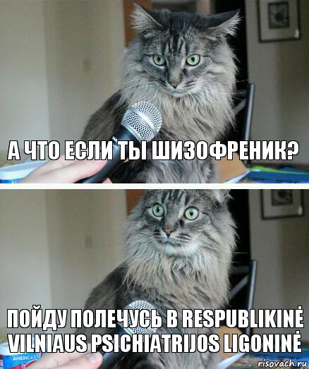 а что если ты шизофреник? пойду полечусь в Respublikinė Vilniaus psichiatrijos ligoninė, Комикс  кот с микрофоном