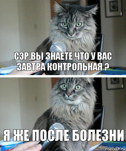 сэр,вы знаете что у вас завтра контрольная ? я же после болезни, Комикс  кот с микрофоном