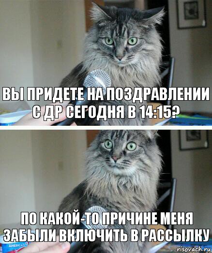 вы придете на поздравлении с ДР сегодня в 14:15? По какой-то причине меня забыли включить в рассылку, Комикс  кот с микрофоном