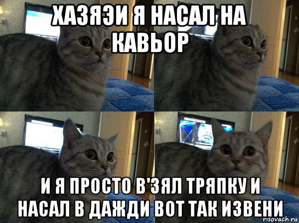 хазяэи я насал на кавьор и я просто в'зял тряпку и насал в дажди вот так извени, Мем  Кот в шоке