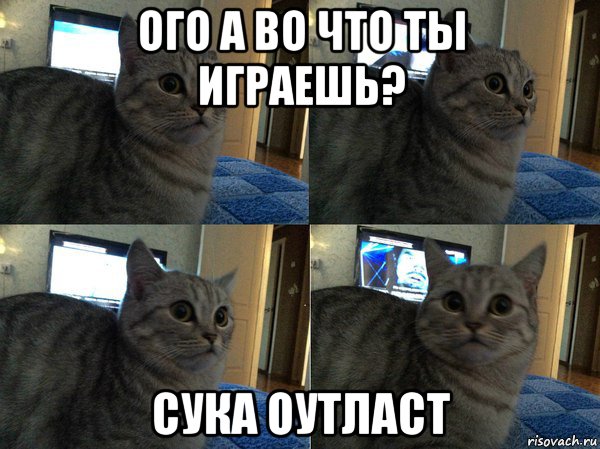 ого а во что ты играешь? сука оутласт, Мем  Кот в шоке