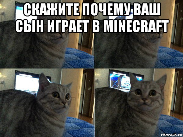 скажите почему ваш сын играет в minecraft , Мем  Кот в шоке